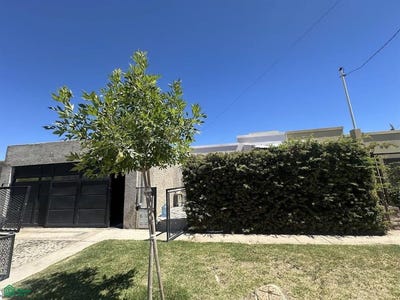/international/ar/los-alamos-2840-padre-stefenelli-general-roca-rio-negro-general-roca-rio-negro-310104528079/