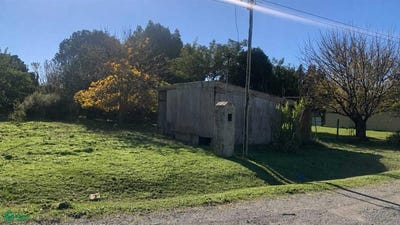 /international/ar/las-palmeras-y-las-acacias-s-n-samborombon-brandsen-gba-sur-1980-brandsen-buenos-aires-310107945707/