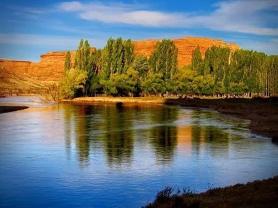 /international/ar/campo-de-59-000-has-con-12-km-de-costa-del-rio-chubut-los-altares-chubut-province-120089862161/