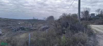 /international/ar/publica-0-bialet-masse-cordoba-cordoba-310109125863/