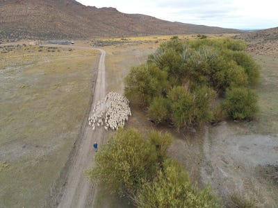 /international/ar/38-500-has-en-gastre-gastre-chubut-province-120089860425/