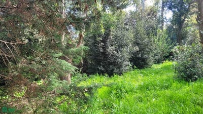 /international/ar/los-pinos-215-brandsen-gba-sur-brandsen-buenos-aires-310105964963/