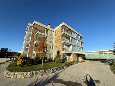 /international/ar/del-pipo-al-2300-ushuaia-islas-del-atlantico-sur-310108463295/