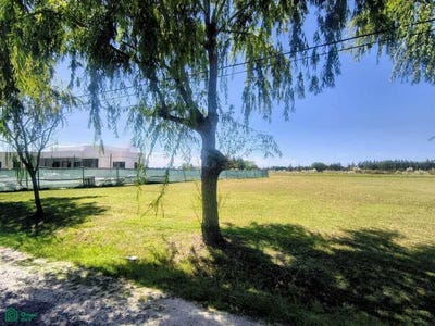 /international/ar/campos-de-roca-ll-brandsen-s-n-campos-de-roca-ii-brandsen-gba-sur-brandsen-buenos-aires-310107646908/