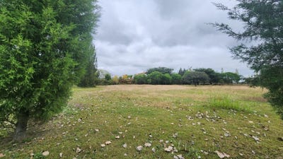 /international/ar/ruta-26-la-isla-al-1000-san-agustin-salta-120094827838/
