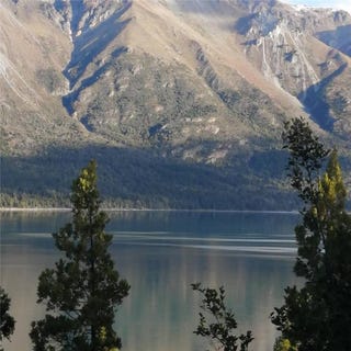 /international/ar/cabana-a-15-km-de-cholila-cholila-chubut-province-310106089093/