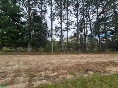 /international/ar/calle-bazan-s-n-san-clemente-cordoba-cordoba-310107706155/