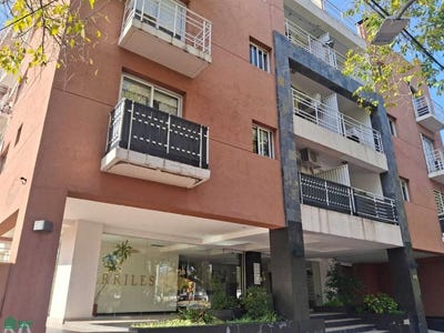 /international/ar/belgrano-441-ciudad-de-mendoza-mendoza-5500-mendoza-310108486599/