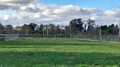 /international/ar/32-entre-191-y-195-s-n-lisandro-olmos-la-plata-gba-sur-1901-310108951381/?lang=id