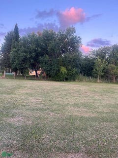 /international/ar/el-ombu-entre-97-y-98-s-n-los-talas-berisso-gba-sur-1923-berisso-buenos-aires-310104895035/