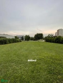 /international/ar/old-man-704-haras-santa-maria-escobar-gba-norte-1628-escobar-buenos-aires-310107886183/