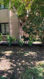 /international/ar/achira-9509-villa-rivera-indarte-cordoba-cordoba-cordoba-cordoba-310107941202/
