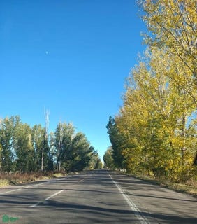 /international/ar/arriagada-sin-nro-san-carlos-mendoza-san-carlos-mendoza-310108288940/