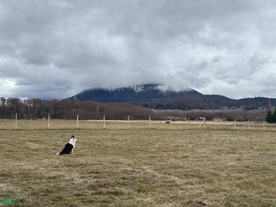 /international/ar/callejon-de-bello-s-n-la-cascada-san-martin-de-los-andes-neuquen-8370-310100385036/