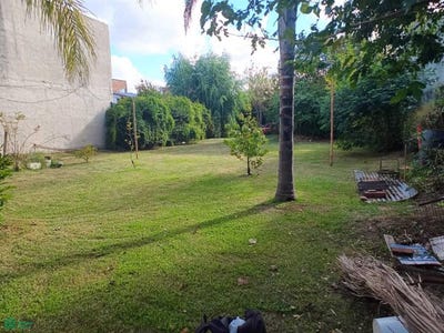 /international/ar/suipacha-255-troncos-del-talar-tigre-gba-norte-1608-tigre-buenos-aires-310106247934/