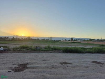 /international/ar/milagros-1222-rodeo-de-la-cruz-mendoza-5525-mendoza-310106137581/