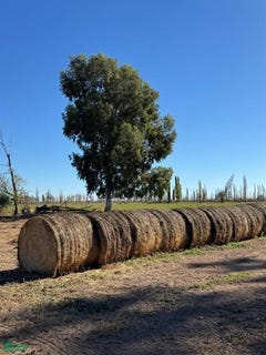 /international/ar/ruta-provincial-179-s-n-san-rafael-mendoza-san-rafael-mendoza-310101077394/?lang=zh-tw