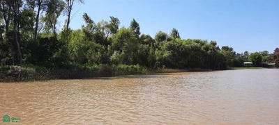 /international/ar/canal-del-este-sin-numero-delta-tigre-gba-norte-1649-tigre-buenos-aires-310107915847/