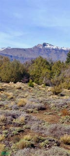 /international/ar/ruca-hue-0-ruca-hue-san-martin-de-los-andes-neuquen-8370-310108951395/?lang=fr