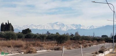 /international/ar/chile-y-avenida-vendimia-s-n-vistalba-mendoza-5509-mendoza-310108309751/