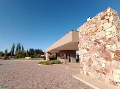 /international/ar/terrada-s-n-maipu-mendoza-maipu-mendoza-310108485816/