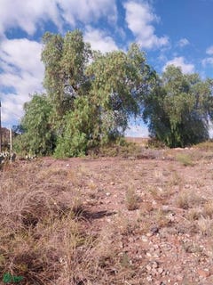 /international/ar/olavarria-5000-lujan-de-cuyo-mendoza-lujan-de-cuyo-mendoza-310107271326/