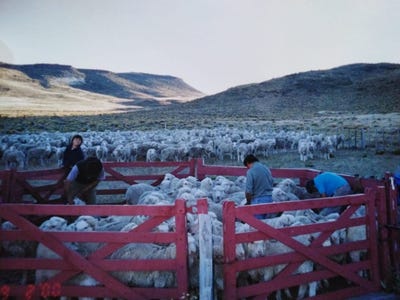 /international/ar/campo-de-15-000-has-ubicadas-a-30-km-al-sur-de-gan-gan-gan-gan-chubut-province-120084912180/