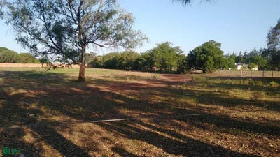 /international/ar/colectora-las-heras-s-n-campana-campana-gba-norte-2804-campana-buenos-aires-310108160062/
