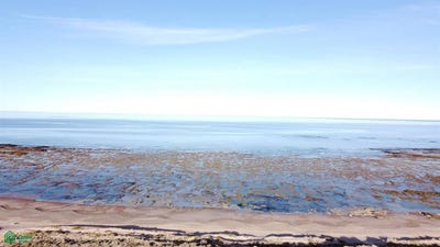 /international/ar/camino-a-las-coloradas-s-n-las-grutas-rio-negro-8521-rio-negro-310108866864/