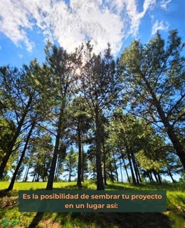 /international/ar/lote-12-manzana-5-s-n-villa-yacanto-cordoba-cordoba-310108308096/