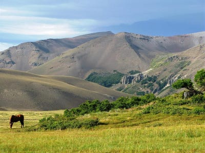 /international/ar/colipilli-neuquen-province-argentina-neuquen-neuquen-310106631484/