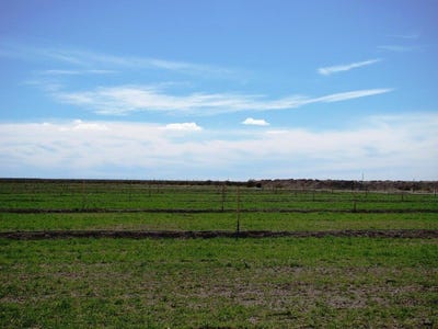 /international/ar/vendo-campo-de-7700-has-en-zona-peninsula-de-valdez-peninsula-valdes-chubut-province-120023130496/