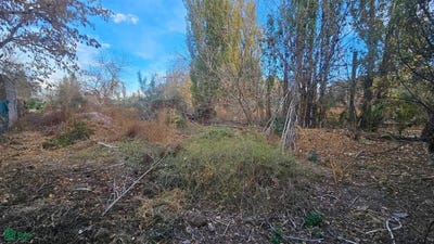 /international/ar/callejon-de-servidumbre-con-salida-a-maure-entrada-por-calle-iv-s-n-el-bermejo-mendoza-5533-mendoza-310109047361/