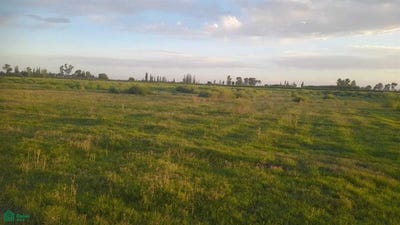 /international/ar/cornelio-saavedra-s-n-san-rafael-mendoza-san-rafael-mendoza-310108186035/