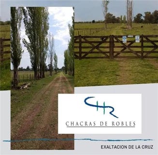 /international/ar/ruta-provincial-192-exaltacion-de-la-cruz-buenos-aires-310106085737/