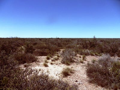 /international/ar/lote-2-has-en-el-doradillo-puerto-madryn-chubut-province-120042461237/