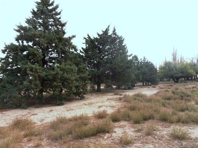 /international/ar/telsen-chubut-province-120023123655/