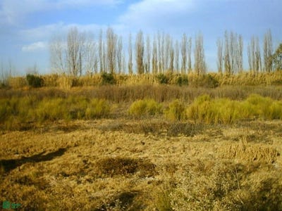 /international/ar/ezequiel-tabanera-sin-numero-los-corralitos-mendoza-5527-mendoza-310106806774/