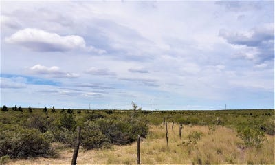 /international/ar/lote-1-ha-en-el-doradillo-puerto-madryn-chubut-province-120086688848/