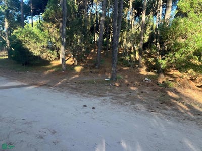 /international/ar/selene-1000-pinamar-buenos-aires-costa-atlantica-7167-pinamar-buenos-aires-310106015143/