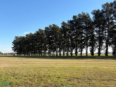 /international/ar/fontanarrosa-calle-7-lote-129-ecolagos-general-lagos-santa-fe-santa-fe-310108896594/