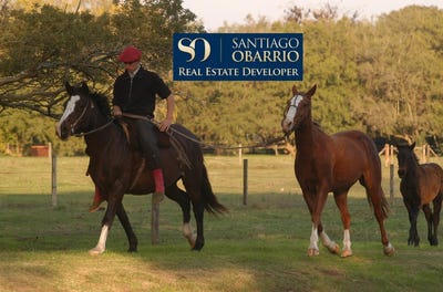 /international/ar/ruta-provincial-41-al-100-san-miguel-del-monte-buenos-aires-310108464572/