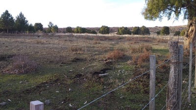 /international/ar/trevelin-trevelin-chubut-province-120070509295/