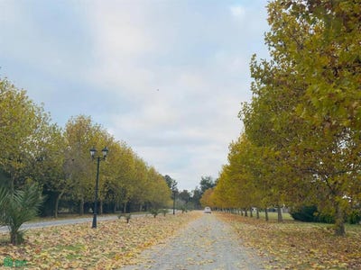 /international/ar/avenida-pereda-lote-1-ezeiza-ezeiza-gba-sur-1814-ezeiza-buenos-aires-310107496269/