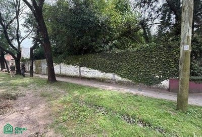 /international/ar/marmol-651-moreno-moreno-gba-oeste-1744-moreno-buenos-aires-310106246067/
