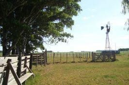 /international/ar/las-flores-a-6-km-de-rn3-y-12-km-de-ciudad-las-flores-buenos-aires-120089859497/