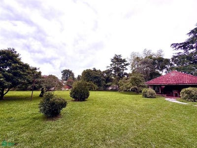 /international/ar/ruben-dario-2407-la-reja-moreno-gba-oeste-1144-moreno-buenos-aires-310107374289/