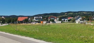 /international/at/purbach-am-neusiedler-see-burgenland-310108368288/