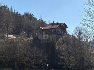 /international/at/lunz-am-see-lower-austria-310120601064/