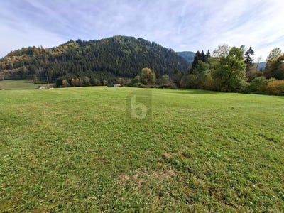 /international/at/feldkirchen-in-karnten-carinthia-310120727829/